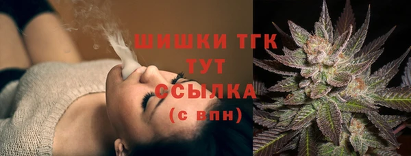 первитин Коряжма