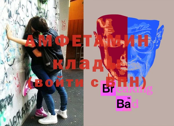 шишки Костерёво