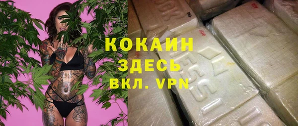 шишки Костерёво