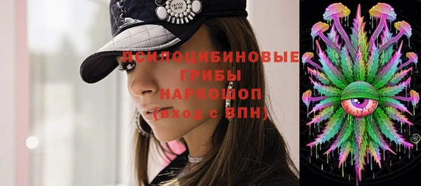 шишки Костерёво
