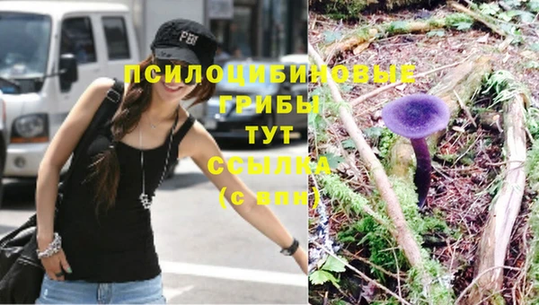 шишки Костерёво