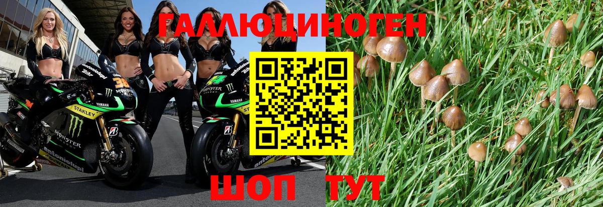 Псилоцибиновые грибы ЛСД Раменское