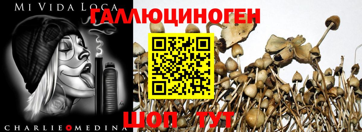 Галлюциногенные грибы Magic Shrooms  Раменское 