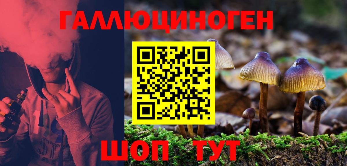 Галлюциногенные грибы Cubensis Раменское