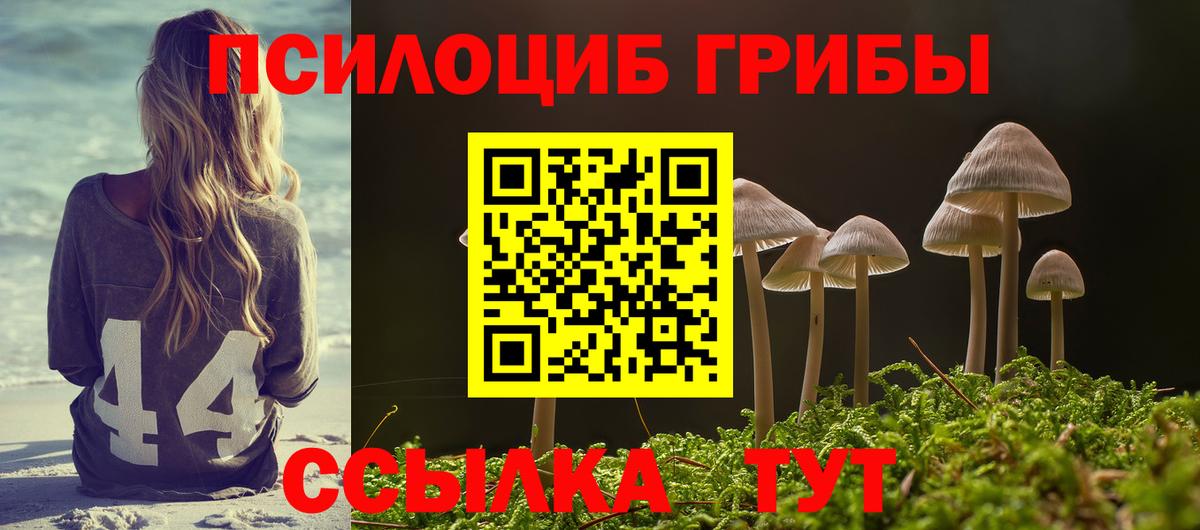 Раменское  Псилоцибиновые грибы Cubensis  Галлюциногенные грибы ЛСД  Вход с VPN 
