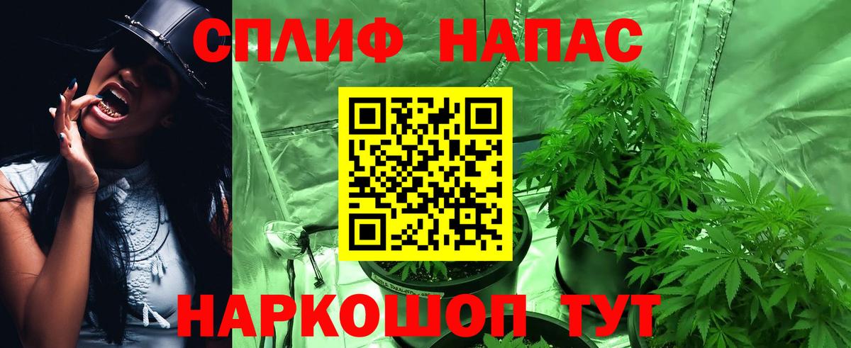 Канабис Bruce Banner  Вход с VPN  Бошки Шишки THC 21%  Раменское  Каннабис конопля 
